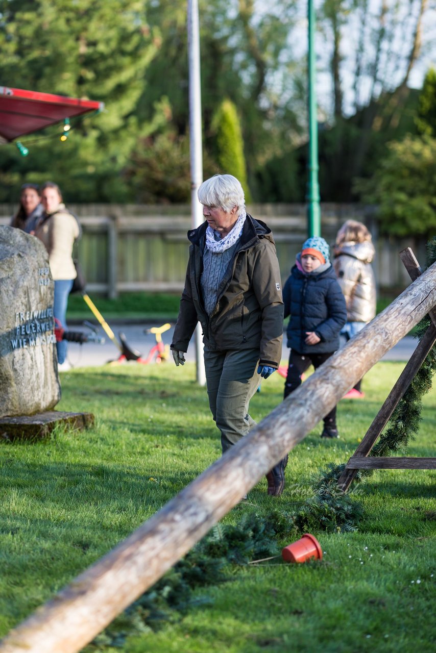 Bild 42 - Maibaum